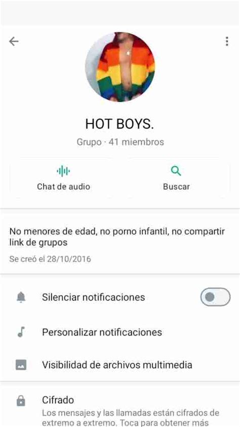 Grupos GAY De WhatsApp GAY Groups In WhatsApp Guia GAY