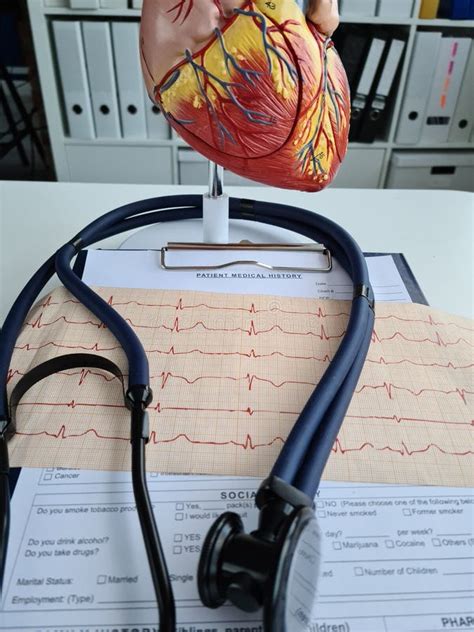 Anatomy Of Heart Human Heart Model And Cardiograph Closeup Stock Image