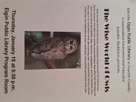 Automated sorting robots will soon join the elgin post office elgin il 31