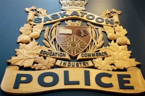 Saskatoon Officers Punched While Responding To Domestic Assault Call