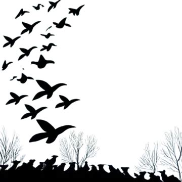 Birds Flock Black White Flying Illustration Birds Flock Black White