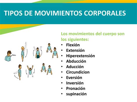 Ejes Y Planos De Movimientos Del Cuerpo Humano Ppt