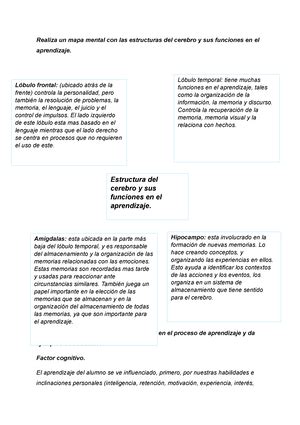 Tarea 6 neurociencias Presentación Sustentante Jadry Isabel Reyes de