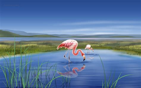 🔥 [50+] Flamingo Desktop Wallpapers | WallpaperSafari