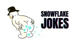 30 Snowflake Jokes & Puns To Get You Through The Winter