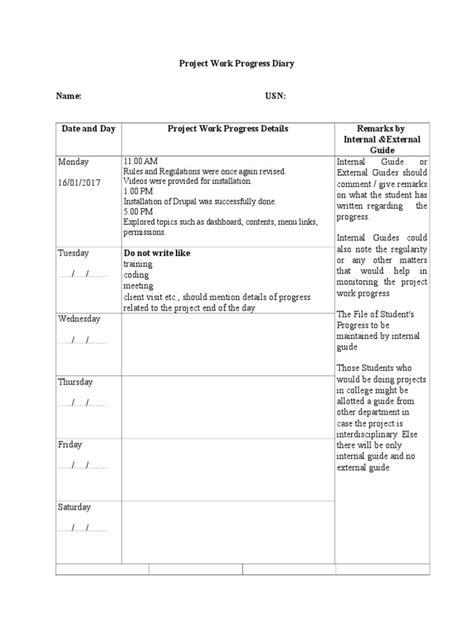 project work progress diary