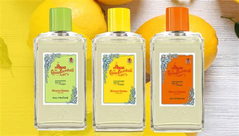 Álvarez Gómez De Grupo Saphir El Perfume Perfecto Para Regalar En Navidad