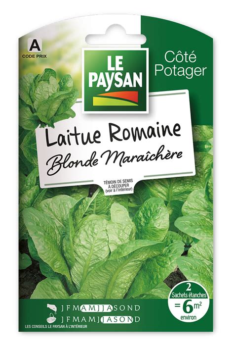 Laitue Romaine Blonde Maraichere Le Paysan Semences Et Accessoires Pour Auxiliaires Du Jardin