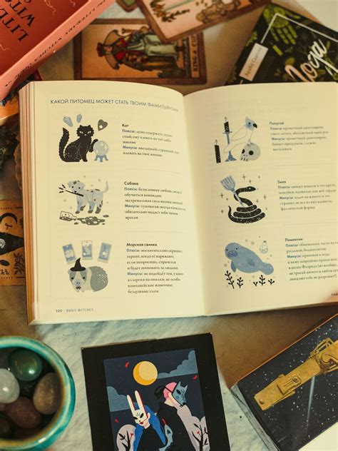 Basic Witch купить книгу