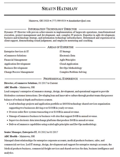 Ecommerce Manager Resume Example It Director