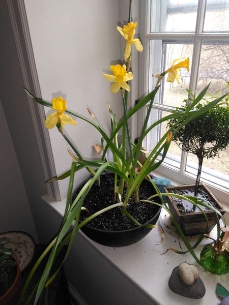 Breathing, Mind And Body For Sports and LifeZENHALING™ | The Zen ...