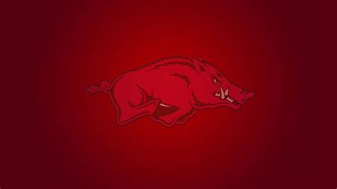 Arkansas Razorbacks College Football Hd Wallpaper Pxfuel