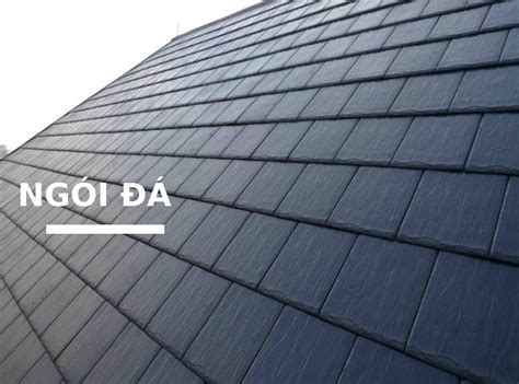 top  loai ngoi duoc su dung nhieu nhat hien nay