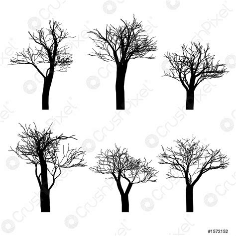 Set Of Black Naked Trees Silhouette Set Hand Drawn Isolated Stock Vector Crushpixel