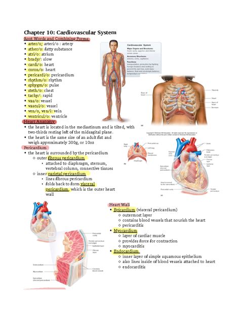 PVC ICD 10: A Comprehensive Guide To Heart Health