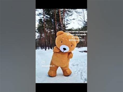Оригинальный подарок на день рождения. танцующий мишка в Калуге - YouTube