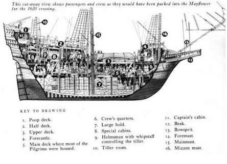 Fun Facts About the Mayflower - The Trip Of A Lifetime