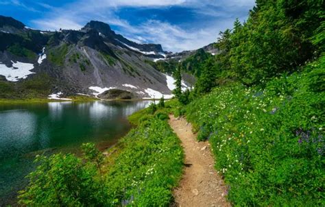 Washington State Cascade