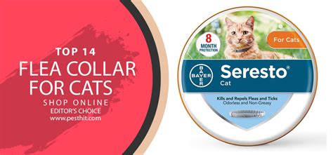 Best Flea Collar For Cats Top 14 Flea Collar For Cats