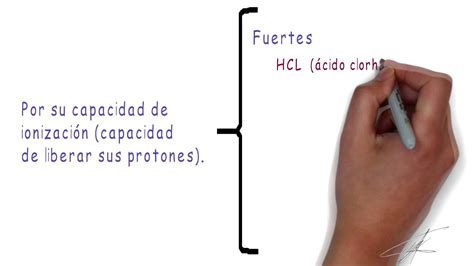 Todo Lo Que Necesitas Saber Sobre La Introducción De Los ácidos Y Bases