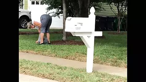 Latina Double Ham Booty 02 Big Ass Big Ass Porn XHamster