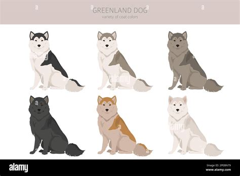 Clipart Sled Dog