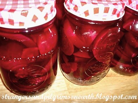 Strangers And Pilgrims On Earth Canning Pickled Beets ~ A Step By Step Tutorial