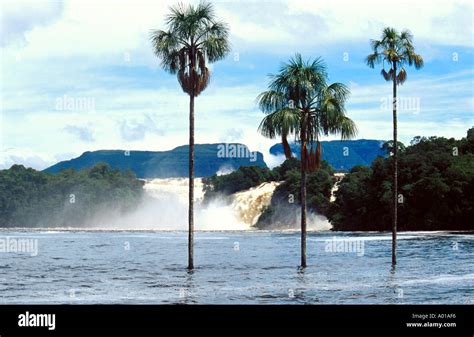 Canaima Waterfalls, Venezuela Stock Photo - Alamy