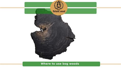 Bog Oak Wood History Use And Price 2024 Finland Wood