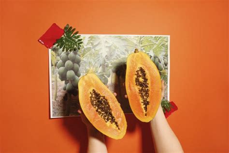 Sex Talk Cheating Is It Black And White Kastor Pollux