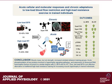 Acute cellular and molecular responses and chronic adaptations to low