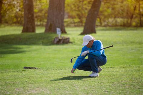 430 Golf Squat Stock Photos Pictures And Royalty Free Images Istock