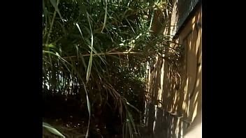 Gay Floresta Videos XVIDEOS