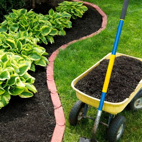 Benefits Of Mulching Your Garden Patuxent Nursery