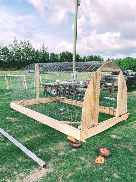 diy chicken tractors 3