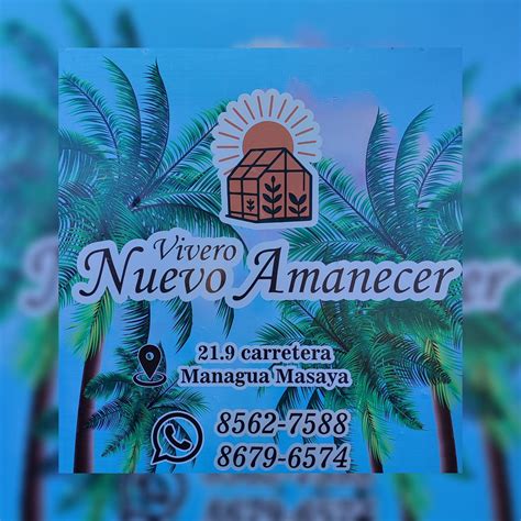 Vivero Nuevo Amanecer | Nindirí