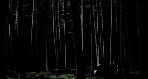 Naked Lake Bell In Black Rock