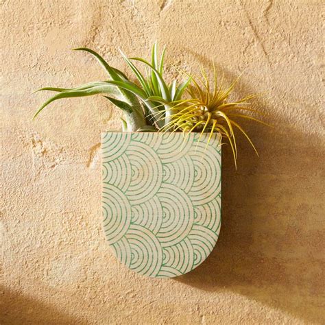 10 Best Wall Planters | The Family Handyman