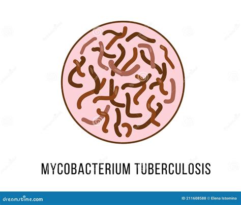 Tuberculosis Icon Trendy Flat Vector Tuberculosis Icon On White