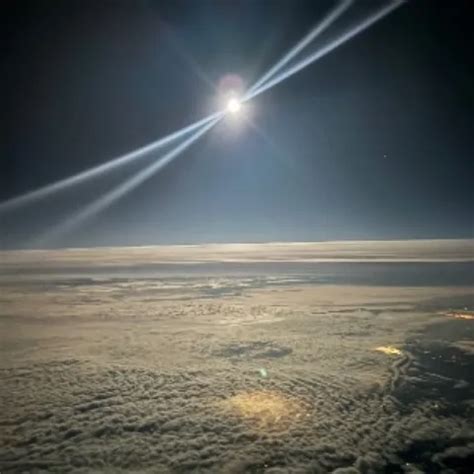 Nude Science XHamster