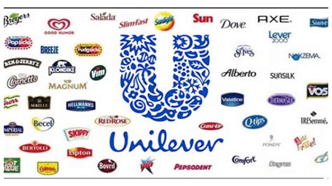 ausblick hindustan unilever gewahrt anlegern blick  die bucher bqnw
