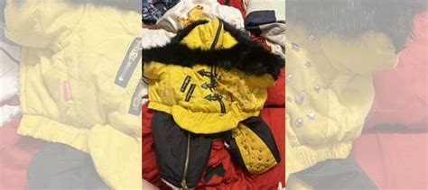 Костюм для маленьких собак limargy купить в Москве | Животные и ...