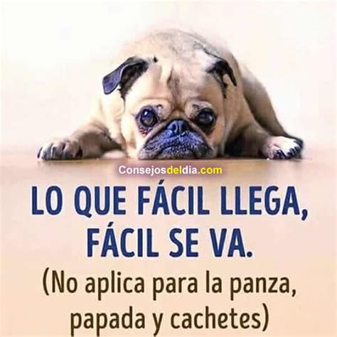 Imagenes Con Frases De Humor