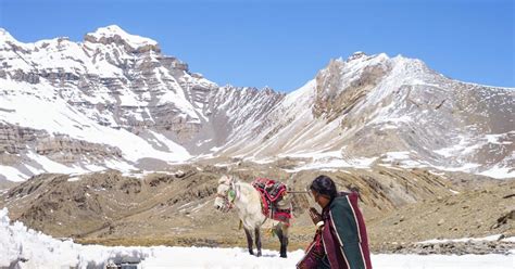 ‘Shambhala’: Berlin Review | Reviews | Screen