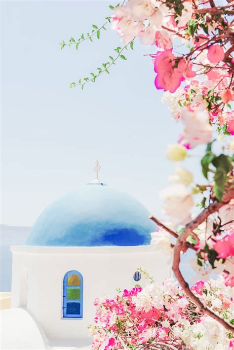 Santorini Greece Mamma Mia Pink Flowers Art Print By My Beloved Printables Society6 Mamma