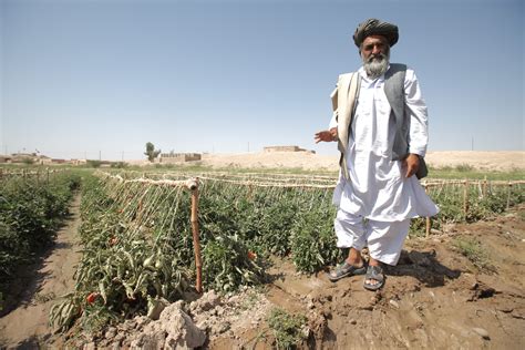 Afghanistan - Blumont