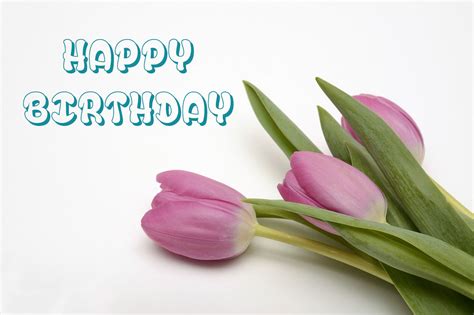 31+ Happy Birthday Tulips Images and Pictures