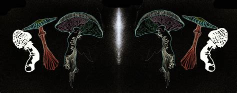 All Them Witches