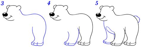 Comment dessiner un ours Dessin ours facile par étapes