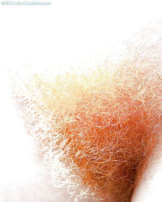 Authentic Fiery Red Pussy Hair Furry Underarms Too Porn Pictures XXX Photos Sex Images